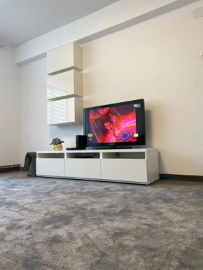 Apartament Ultracentral David